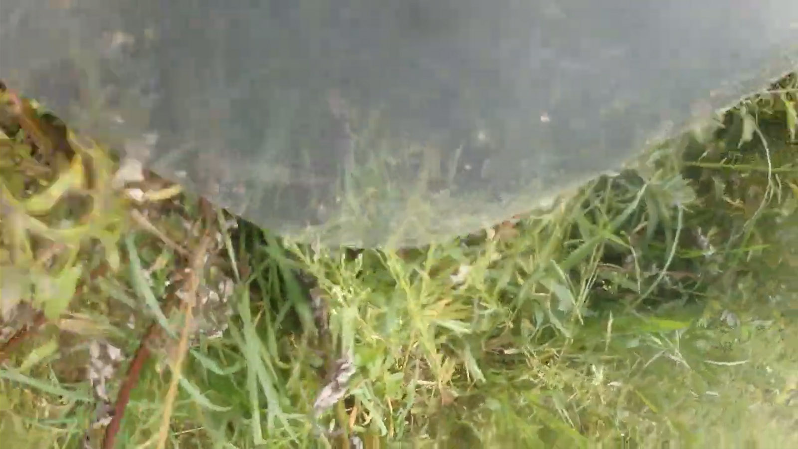 Platzhalterbild Video